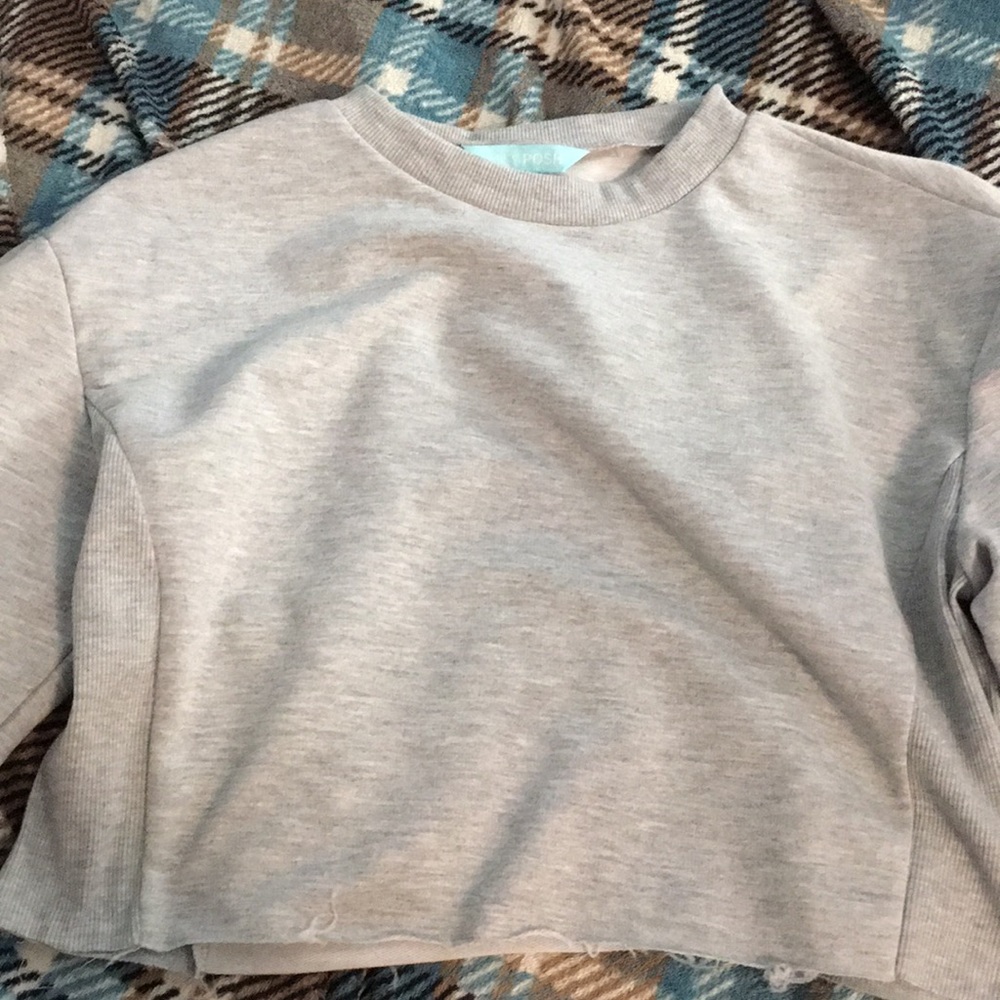 Gray long sleeved crop top